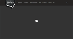 Desktop Screenshot of lake.com.tr